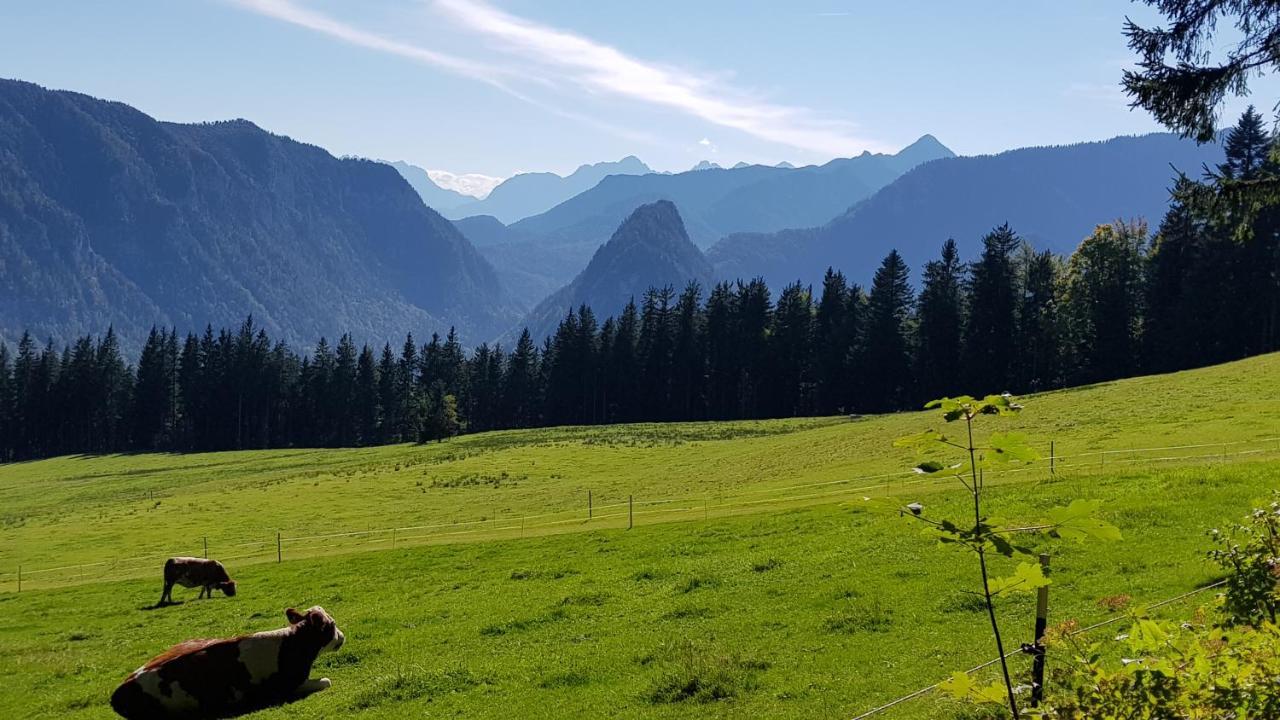 Alpina Inzell Wohnung 454 Exteriör bild